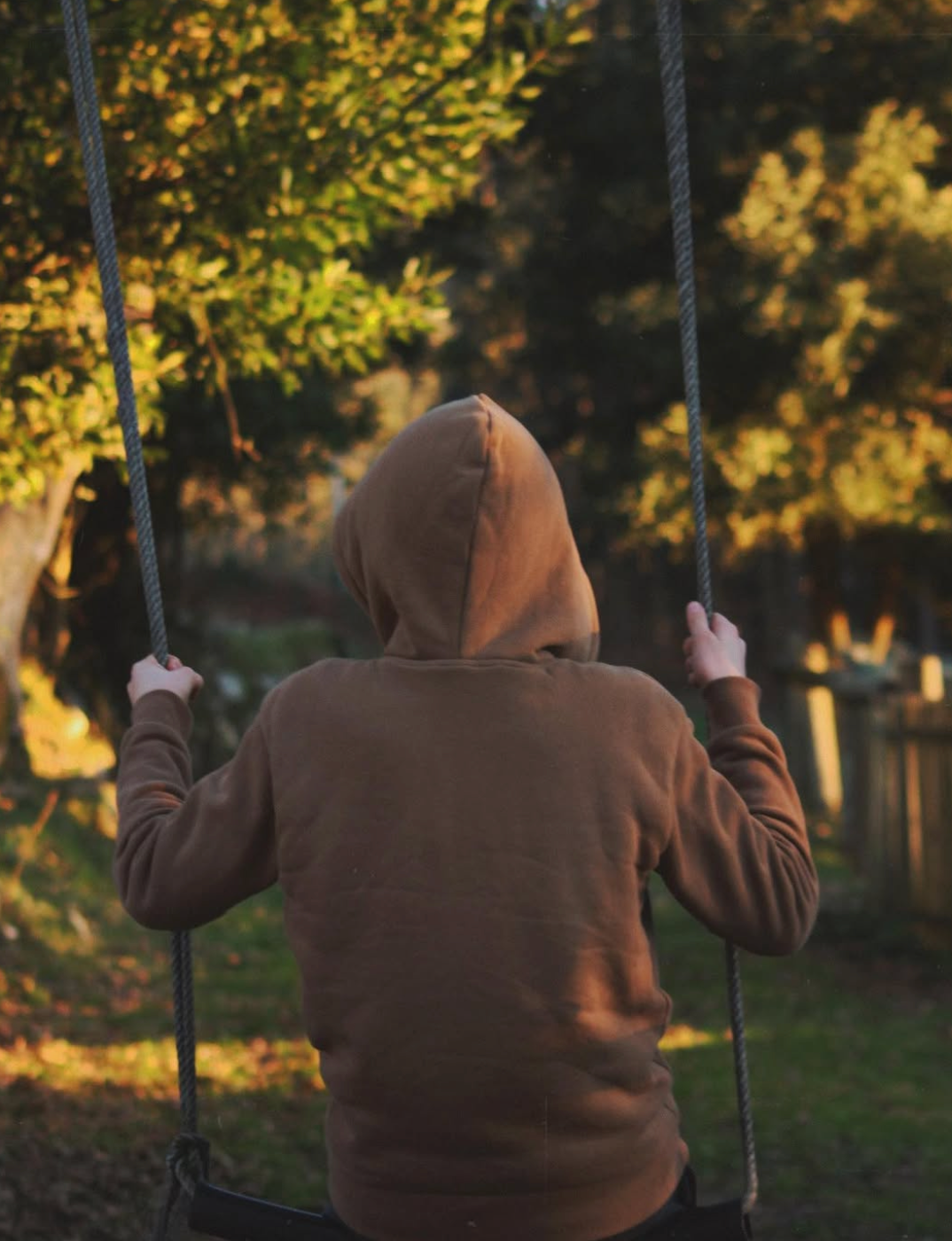 Un niño de espaldas con sudadera marrón, sentado en un columpio de cuerdas entre árboles.